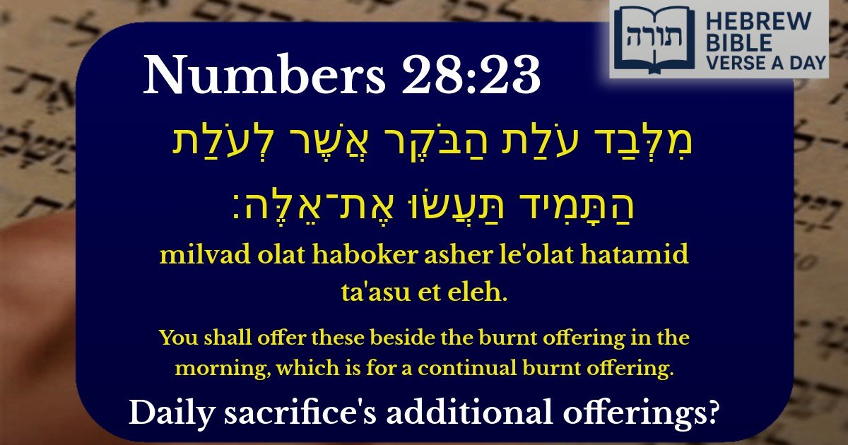 Numbers 28:23 - במדבר 28:23