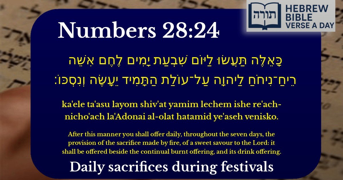 Numbers 28:24 - במדבר 28:24