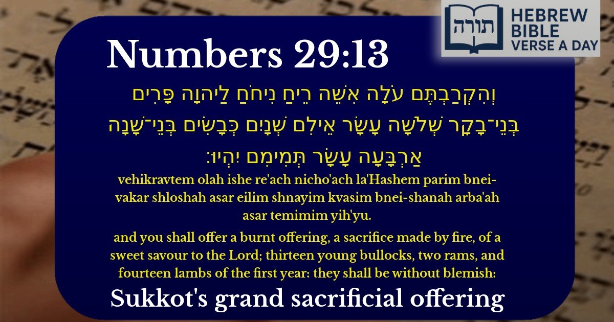 Numbers 29:13 - במדבר 29:13