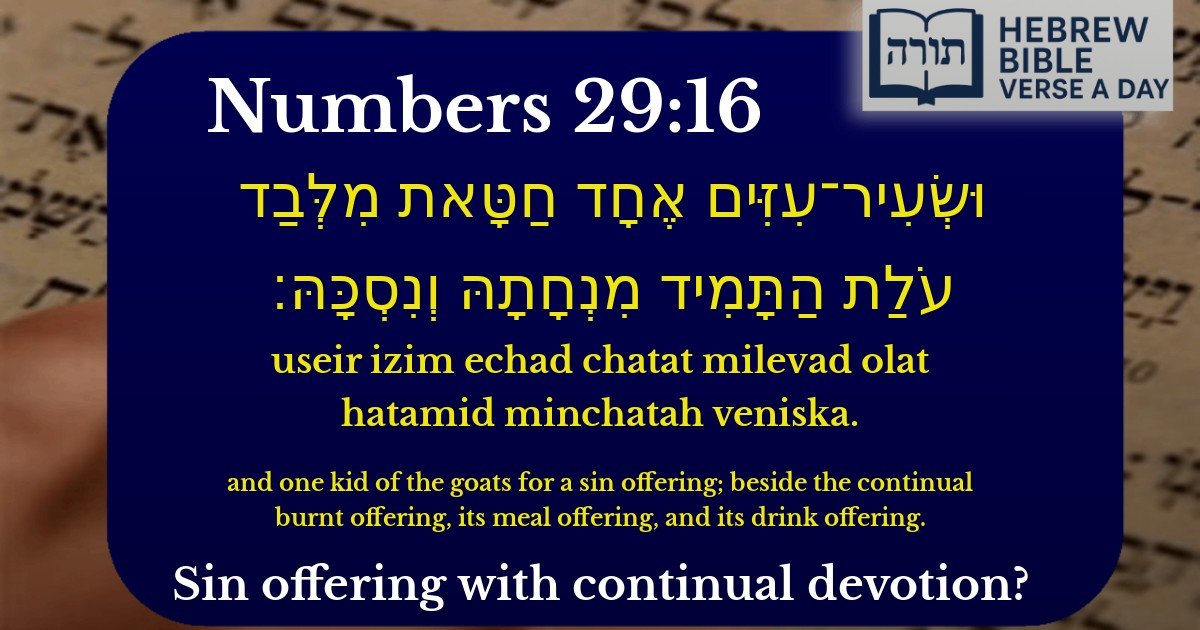 Numbers 29:16 - במדבר 29:16