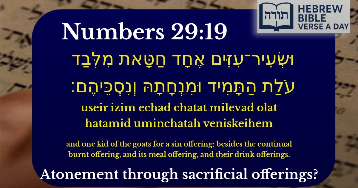 Numbers 29:19 - במדבר 29:19