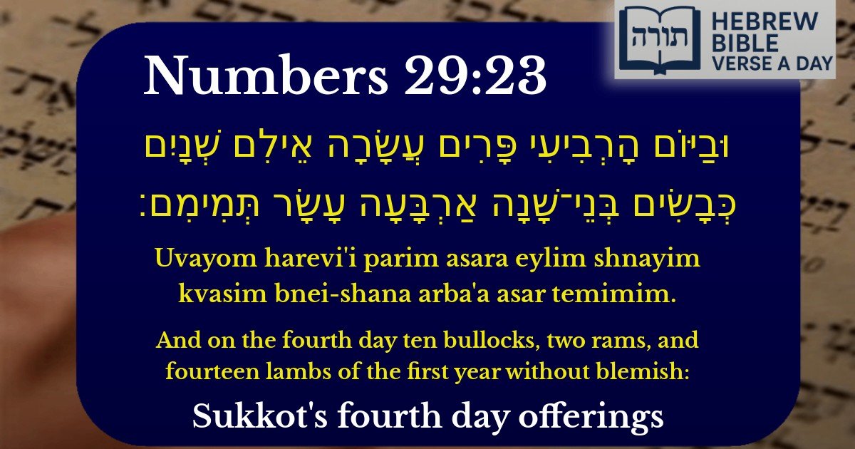 Numbers 29:23 - במדבר 29:23