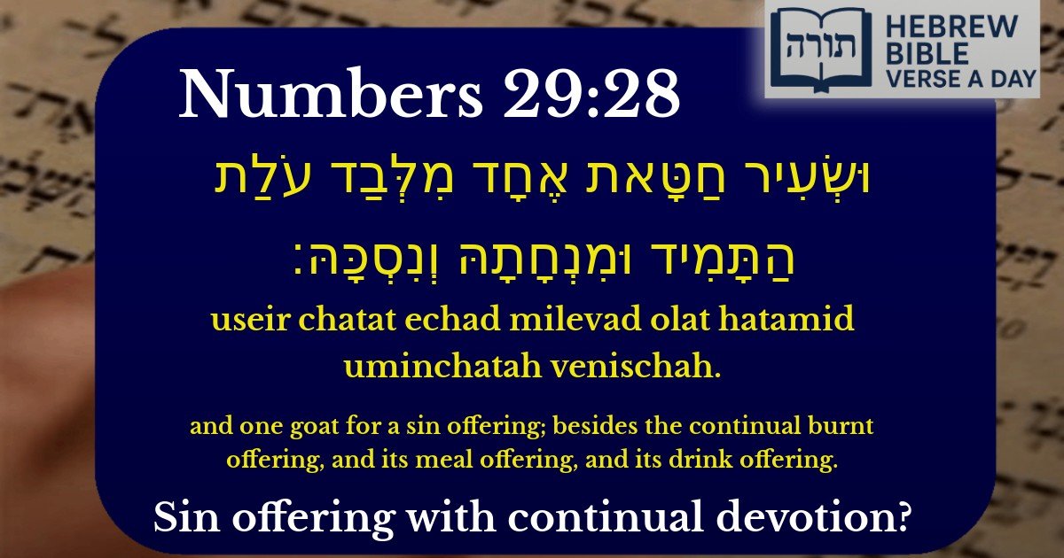 Numbers 29:28 - במדבר 29:28