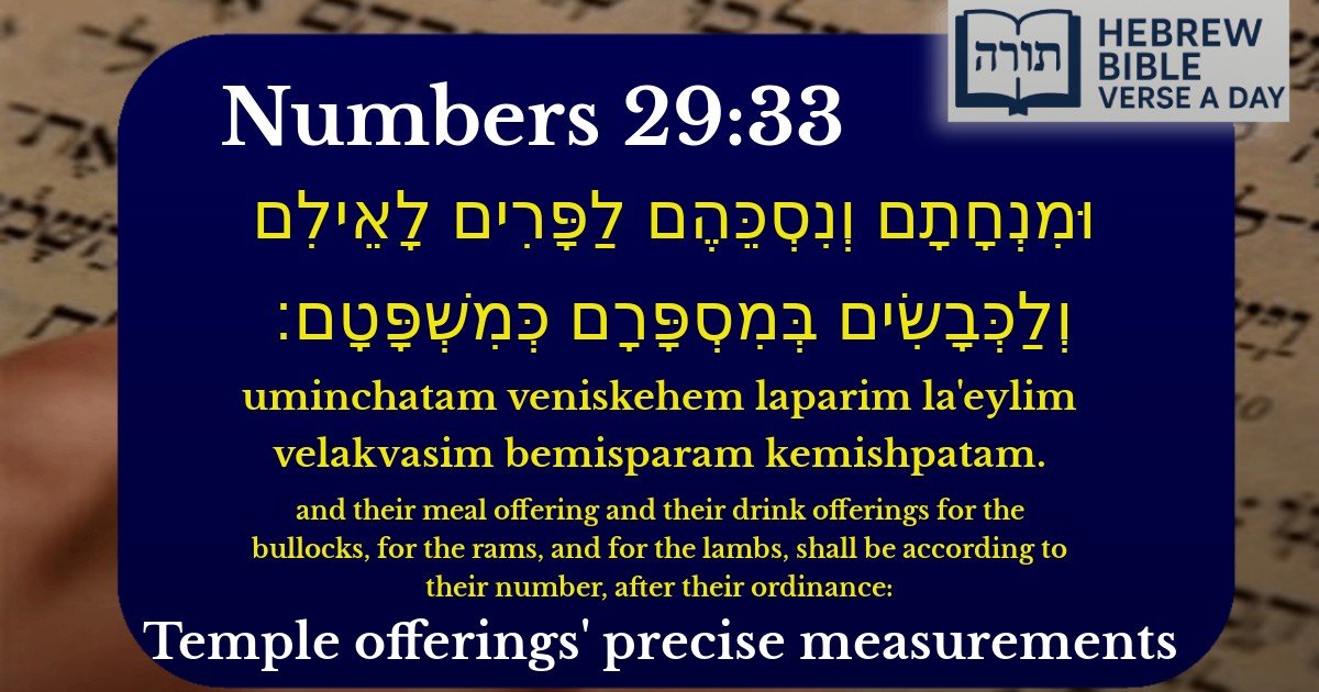 Numbers 29:33 - במדבר 29:33