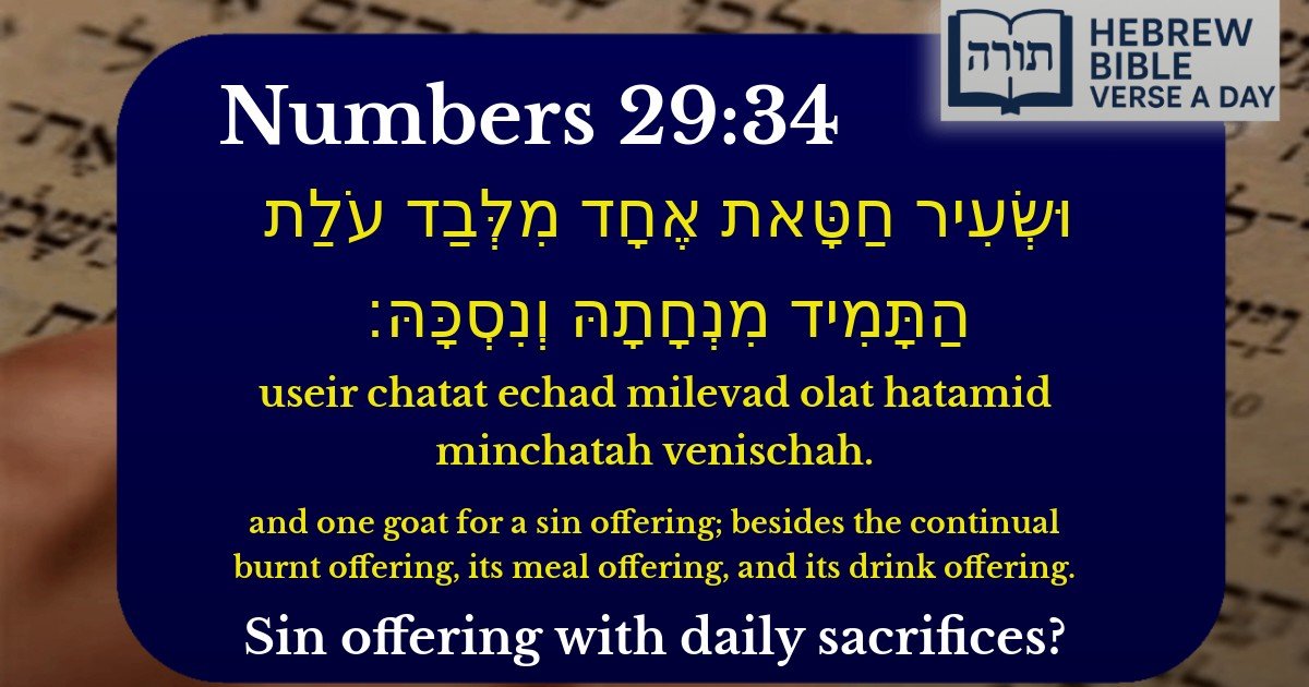 Numbers 29:34 - במדבר 29:34