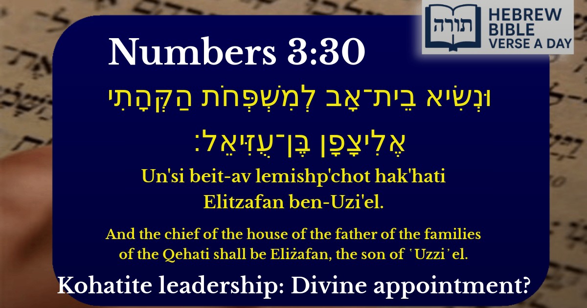Numbers 3:30 - במדבר 3:30