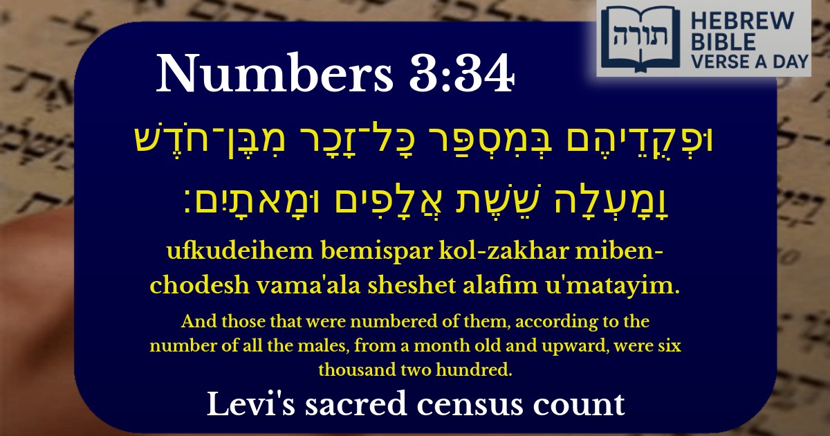 Numbers 3:34 - במדבר 3:34
