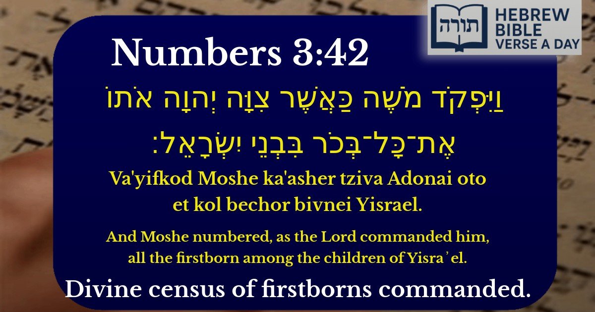 Numbers 3:42 - במדבר 3:42