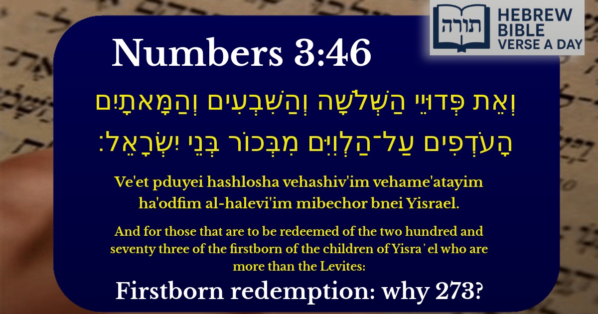 Numbers 3:46 - במדבר 3:46