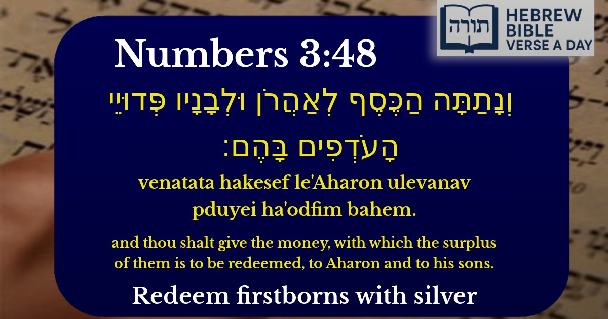 Numbers 3:48 - במדבר 3:48