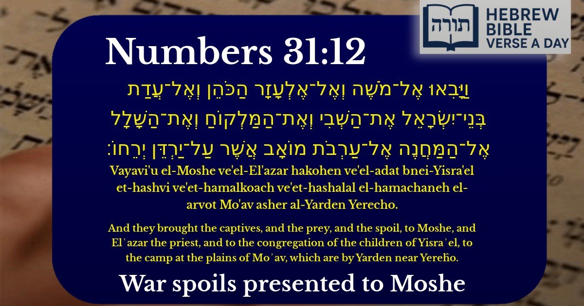 Numbers 31:12 - במדבר 31:12