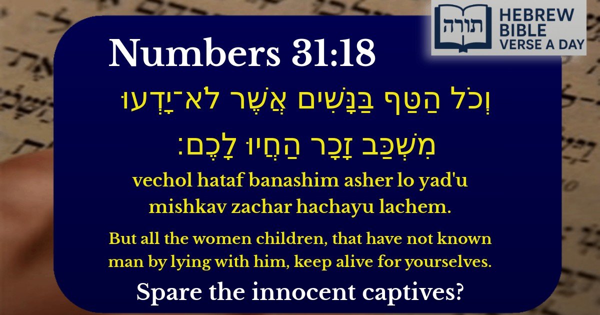 Numbers 31:18 - במדבר 31:18
