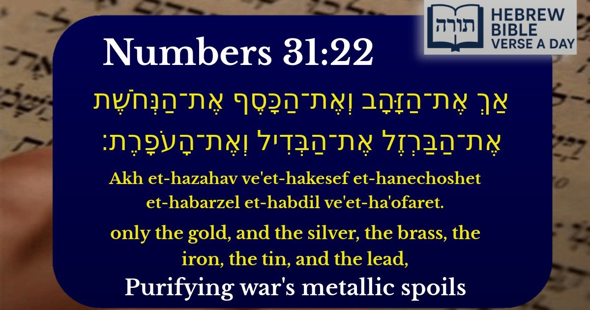 Numbers 31:22 - במדבר 31:22
