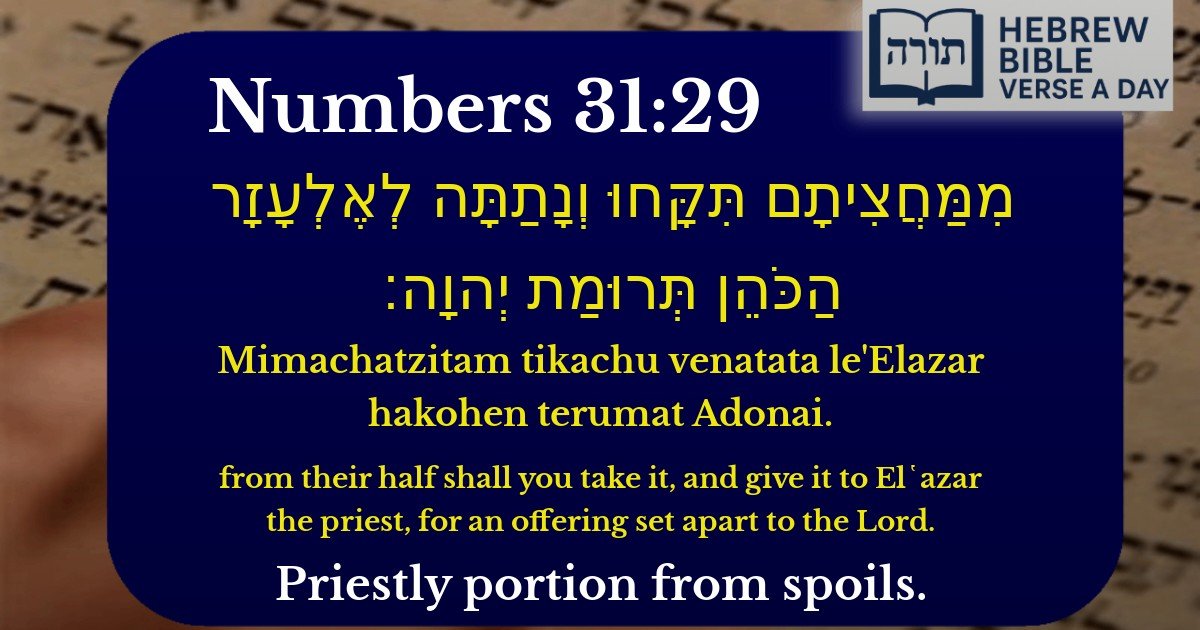Numbers 31:29 - במדבר 31:29