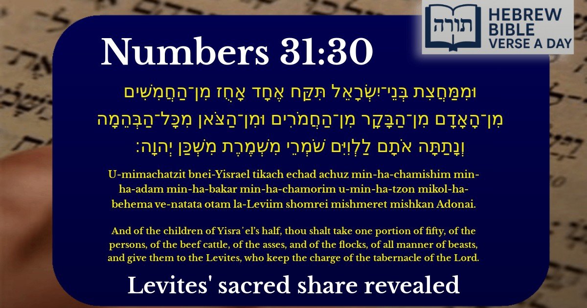 Numbers 31:30 - במדבר 31:30