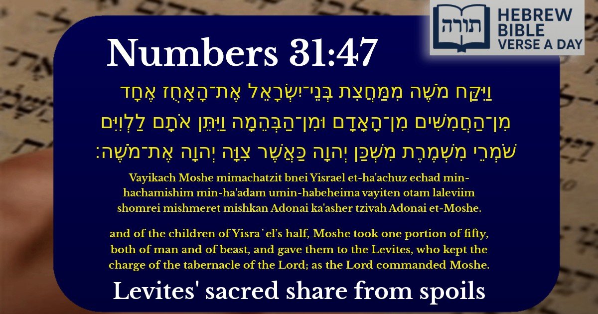 Numbers 31:47 - במדבר 31:47