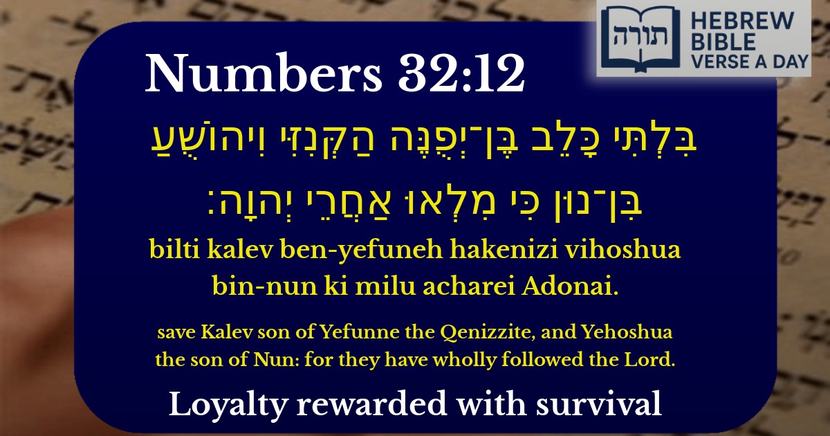 Numbers 32:12 - במדבר 32:12