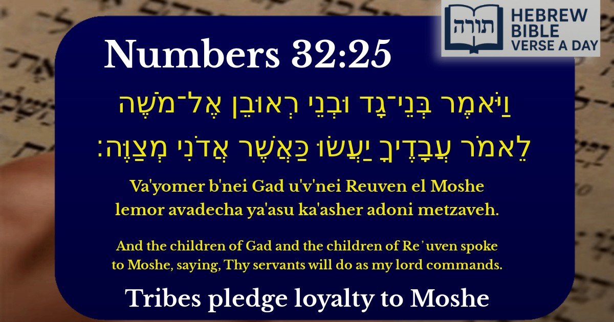 Numbers 32:25 - במדבר 32:25