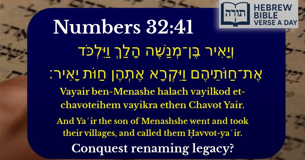 Numbers 32:41 - במדבר 32:41