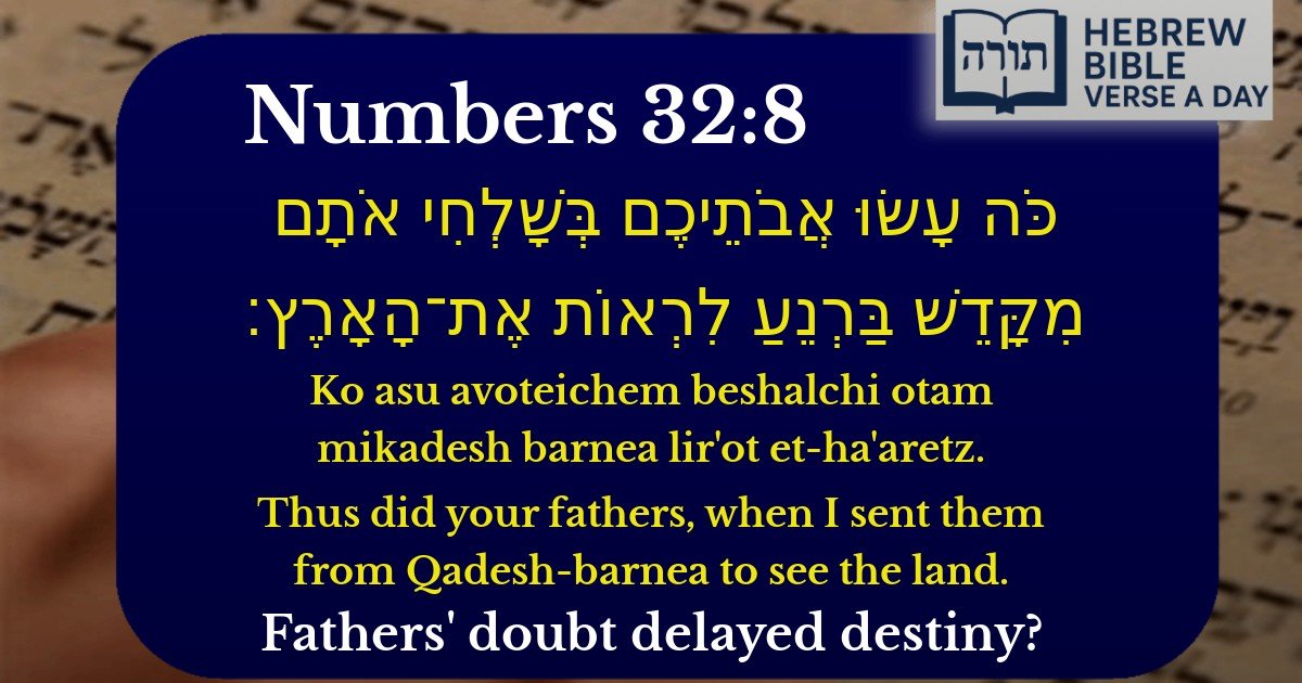Numbers 32:8 - במדבר 32:8