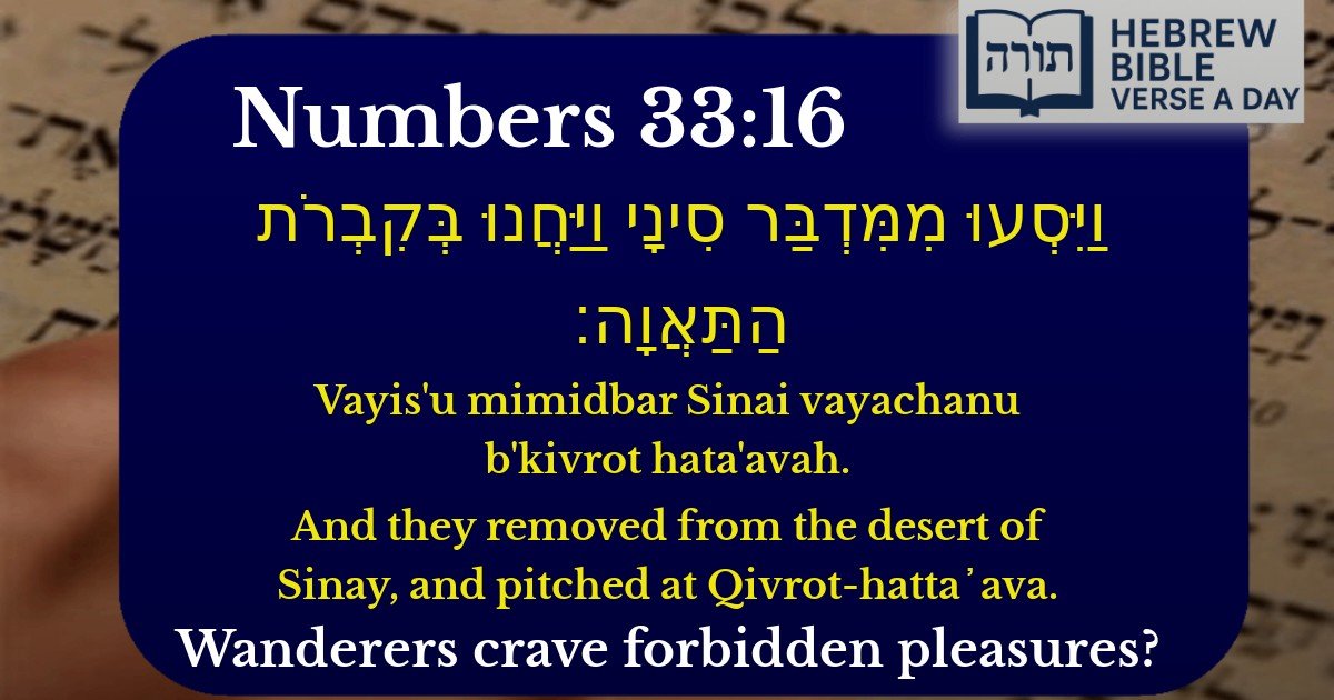 Numbers 33:16 - במדבר 33:16