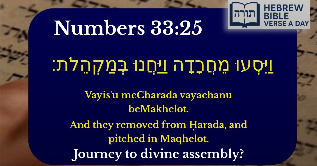 Numbers 33:25 - במדבר 33:25