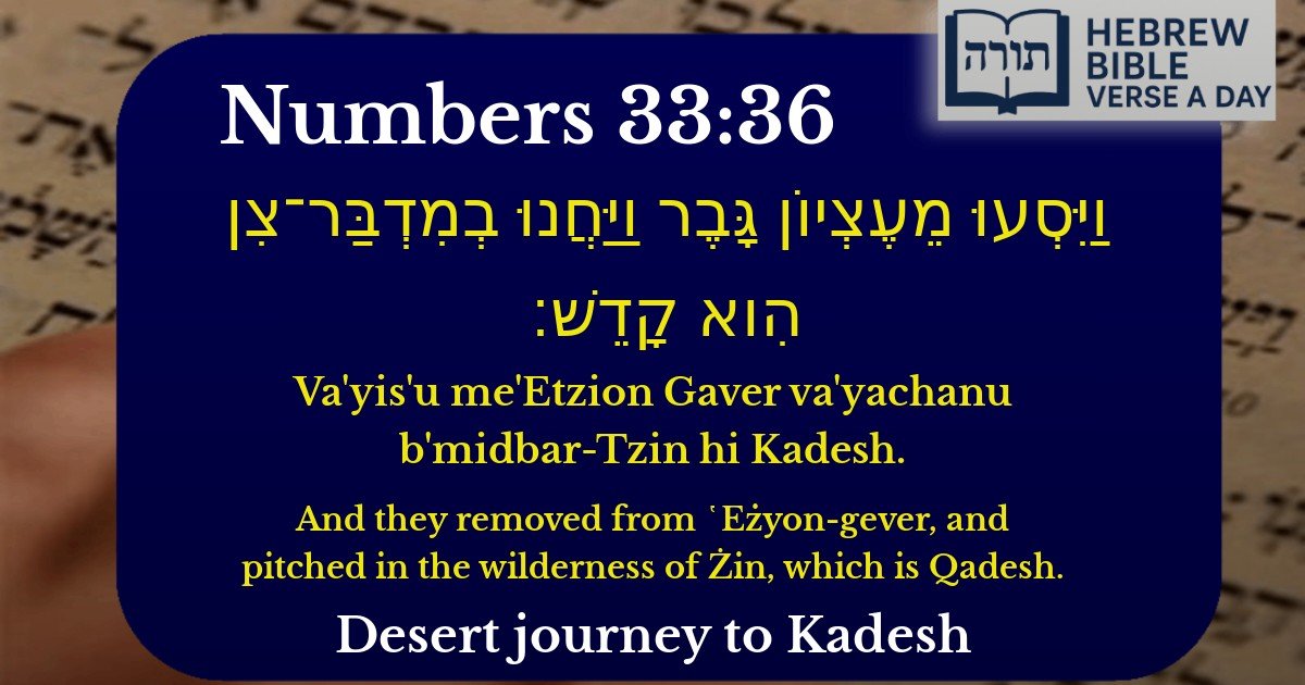 Numbers 33:36 - במדבר 33:36