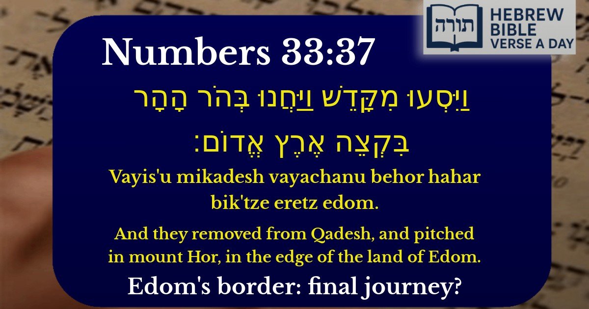 Numbers 33:37 - במדבר 33:37