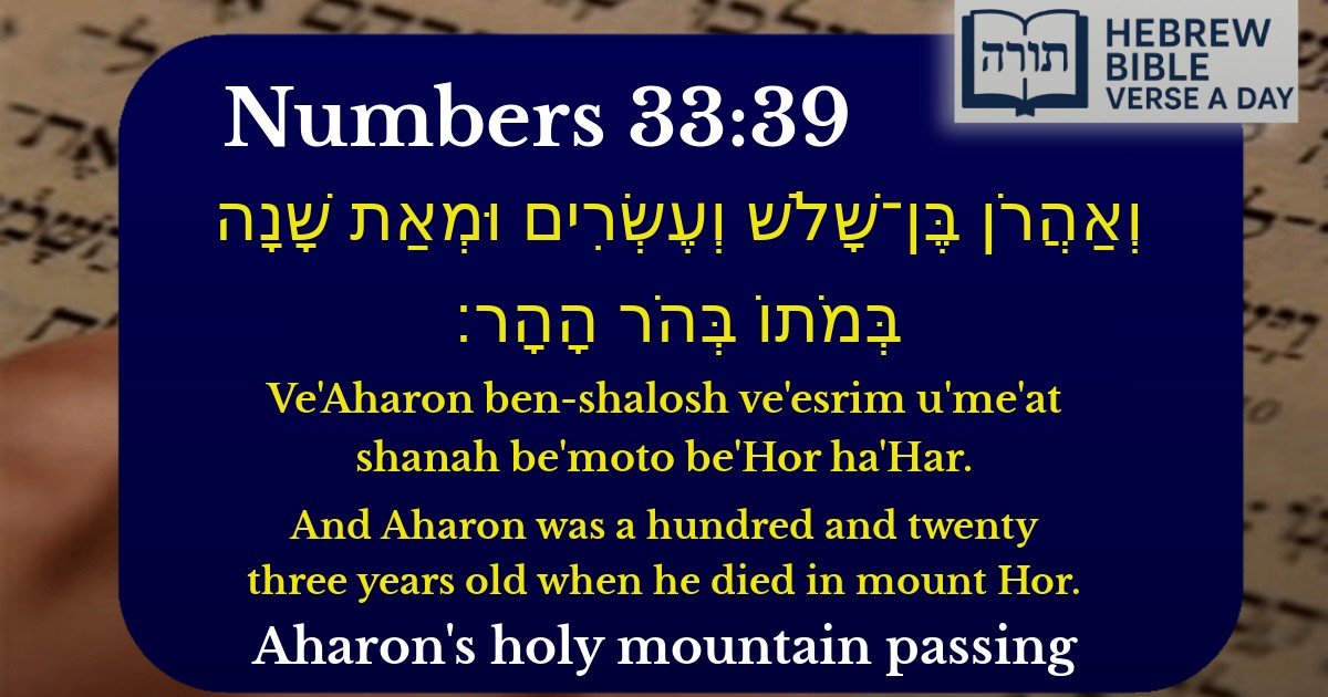 Numbers 33:39 - במדבר 33:39