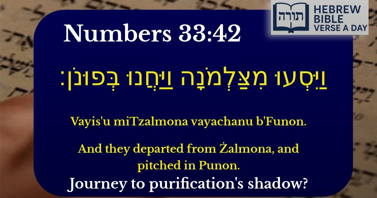 Numbers 33:42 - במדבר 33:42