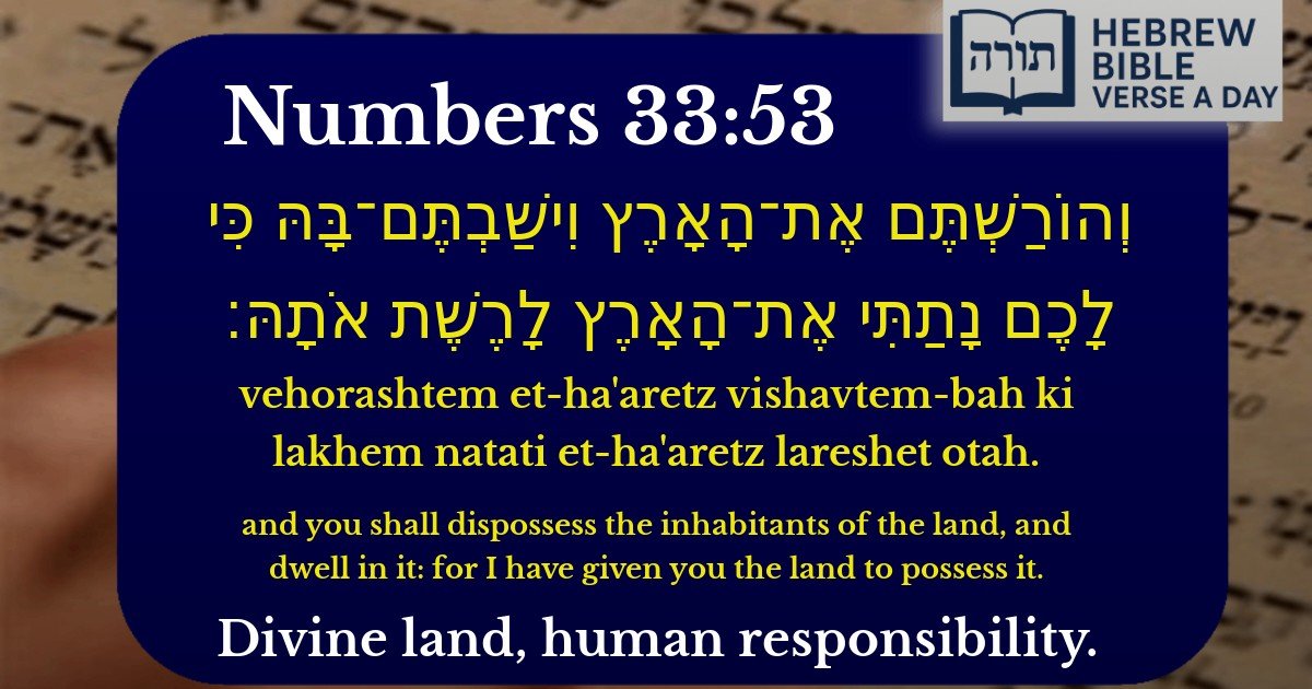 Numbers 33:53 - במדבר 33:53