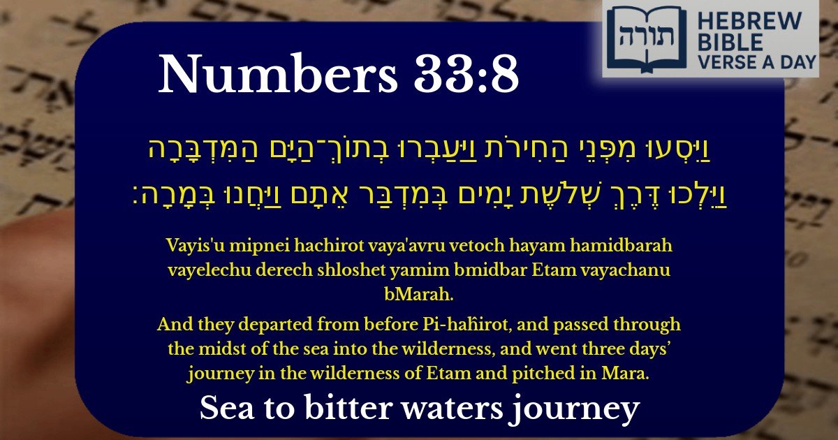 Numbers 33:8 - במדבר 33:8