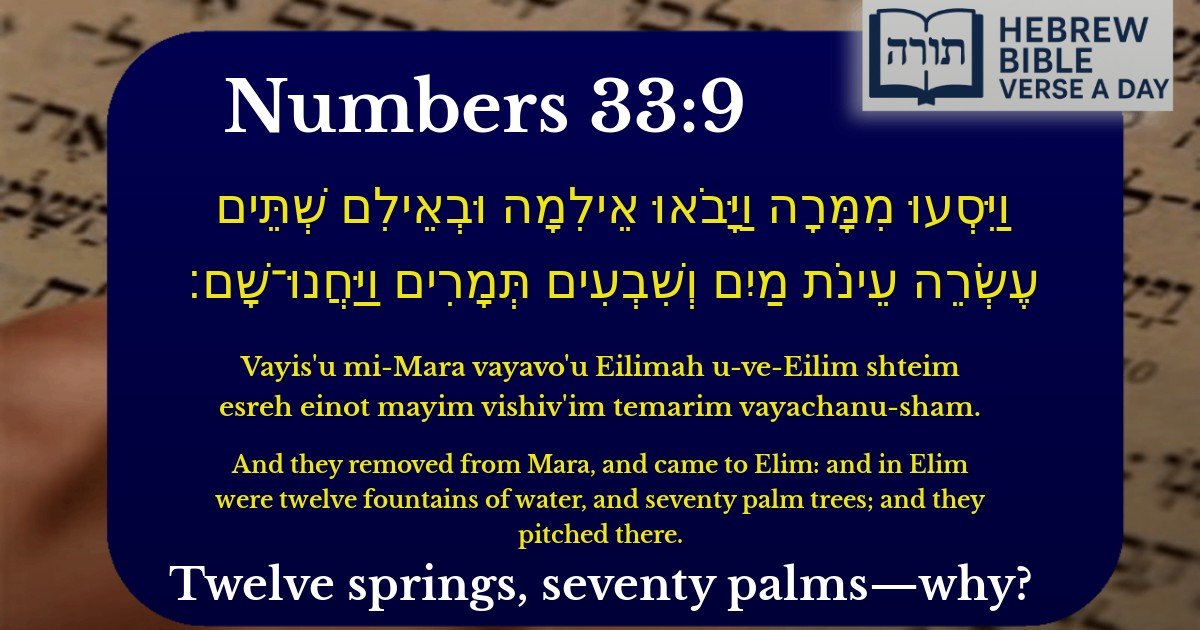 Numbers 33:9 - במדבר 33:9