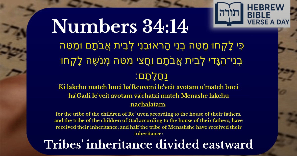 Numbers 34:14 - במדבר 34:14