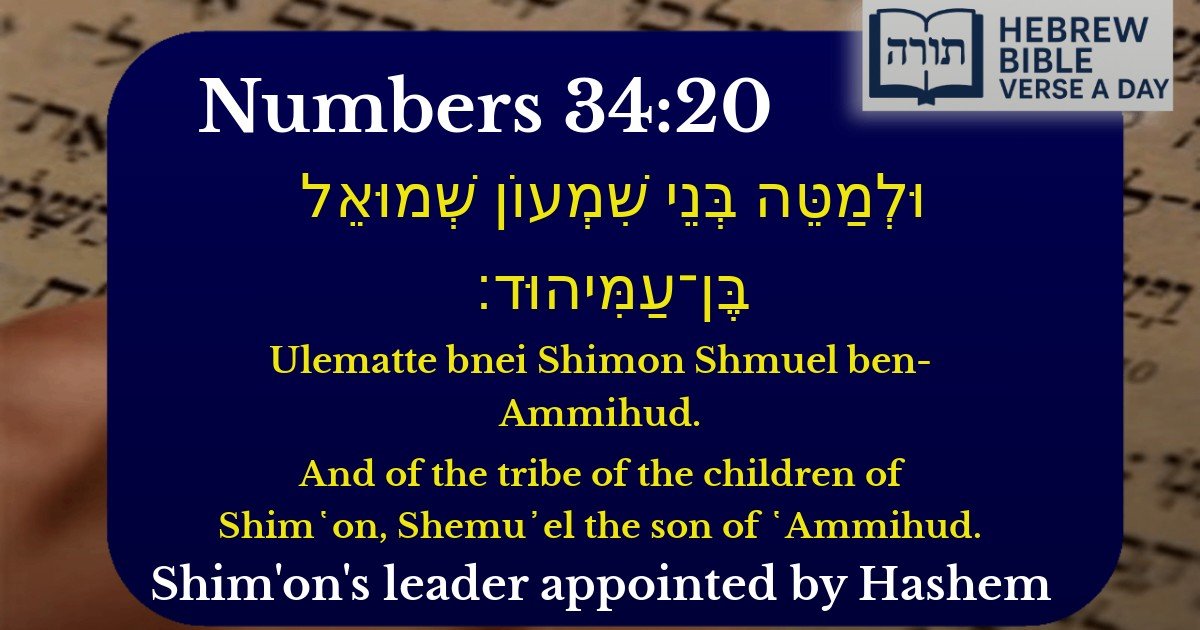 Numbers 34:20 - במדבר 34:20