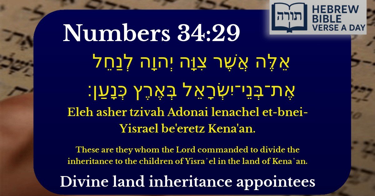 Numbers 34:29 - במדבר 34:29