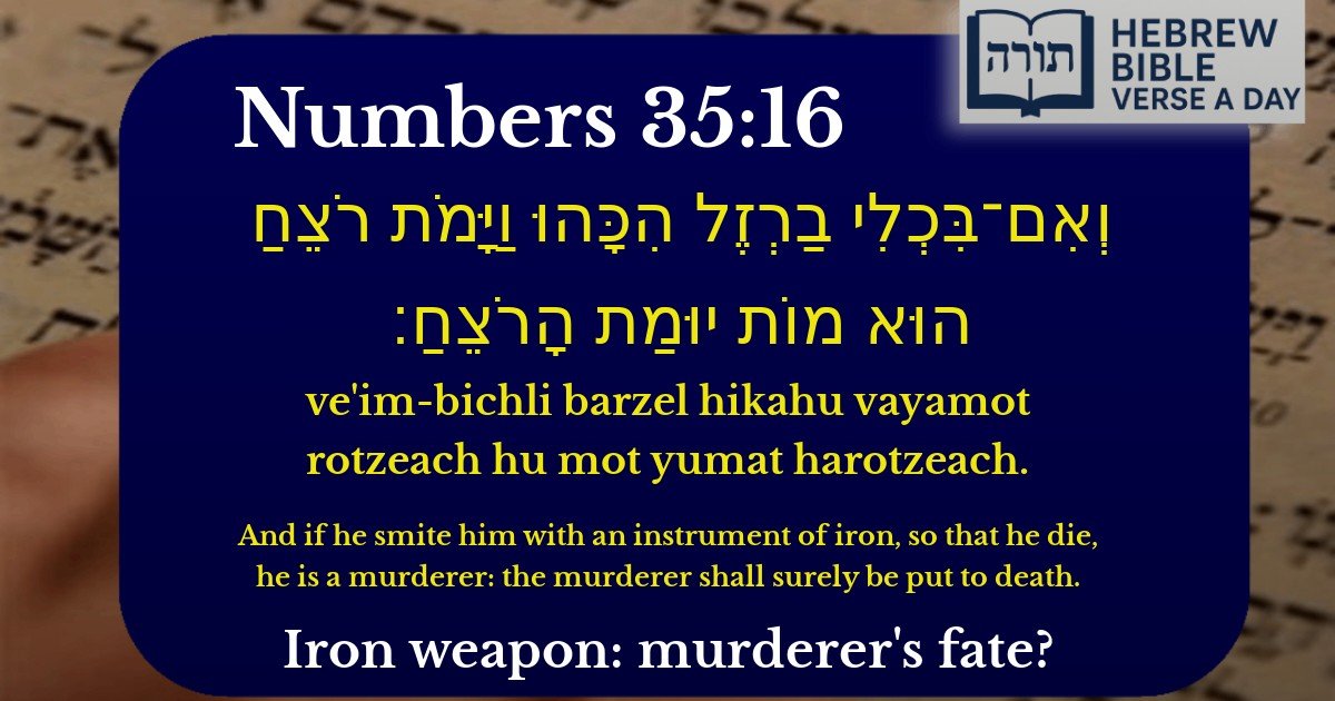 Numbers 35:16 - במדבר 35:16