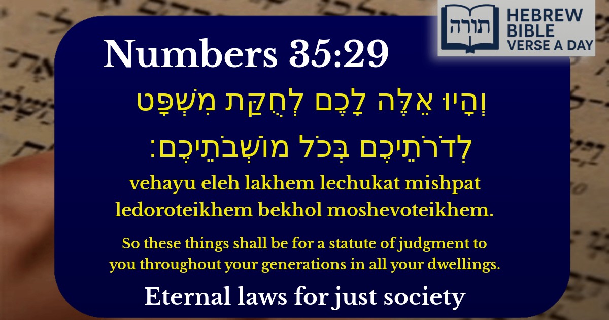 Numbers 35:29 - במדבר 35:29