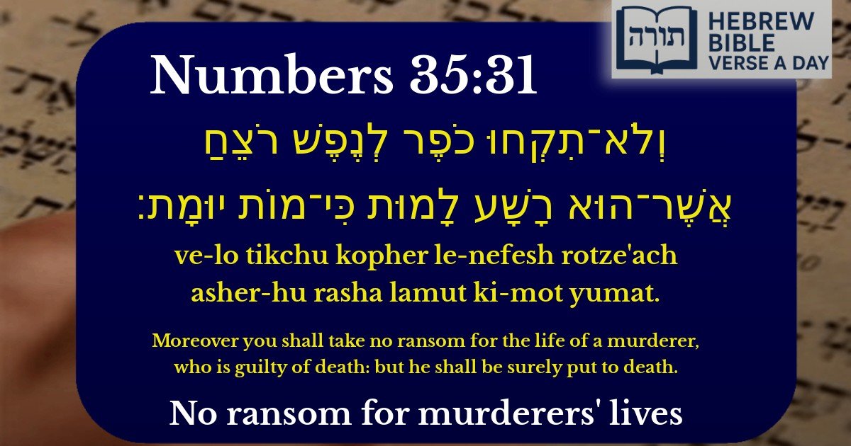 Numbers 35:31 - במדבר 35:31