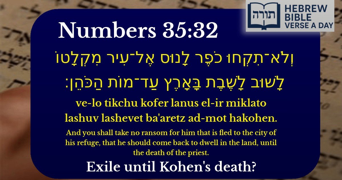 Numbers 35:32 - במדבר 35:32