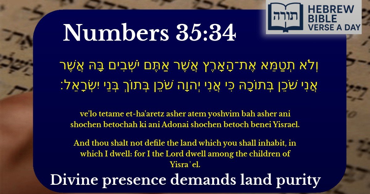 Numbers 35:34 - במדבר 35:34