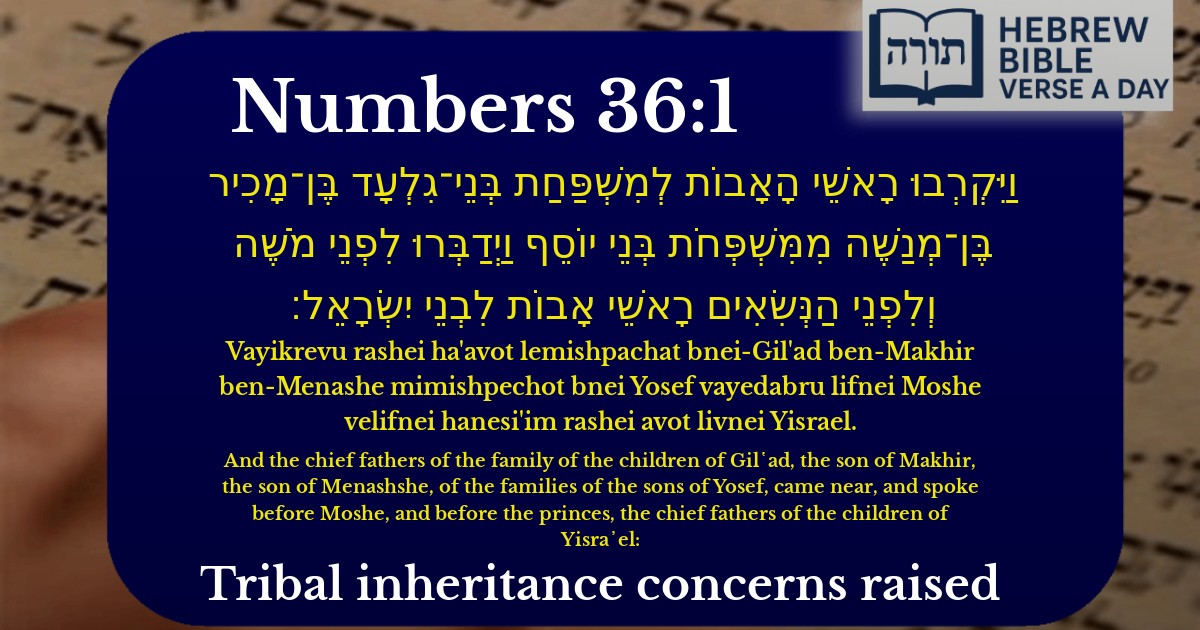 Numbers 36:1 - במדבר 36:1