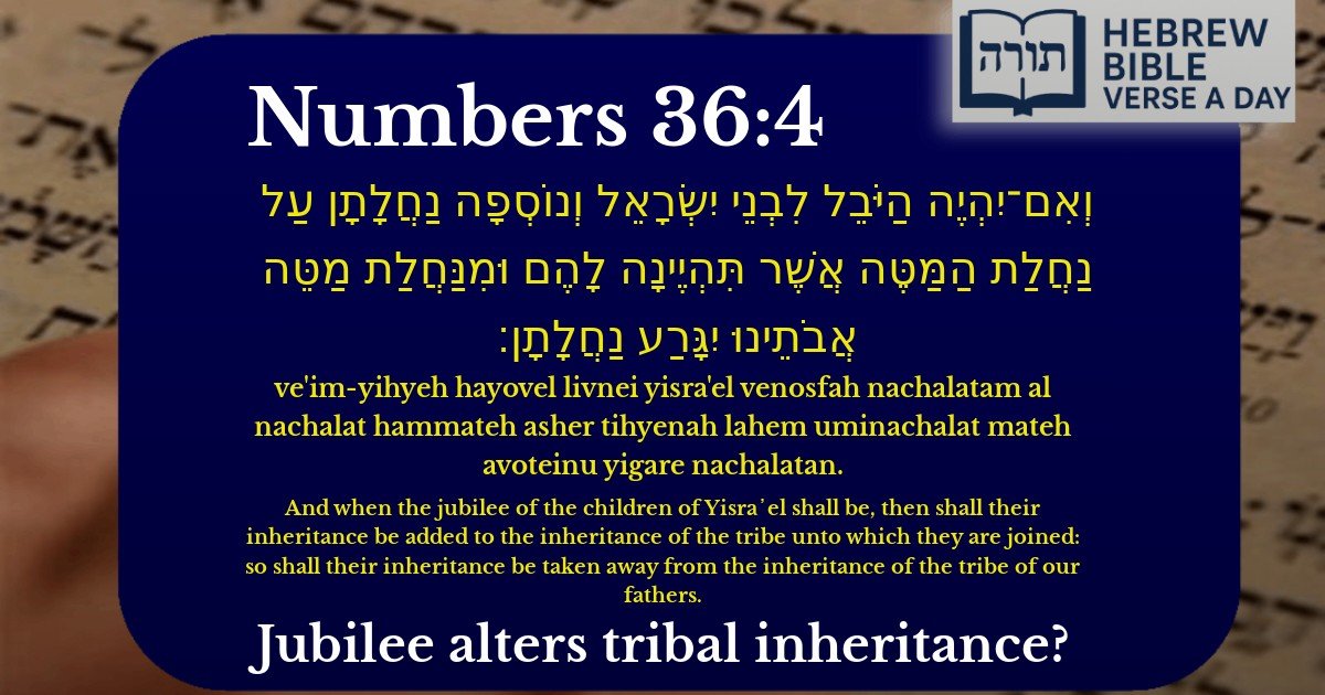 Numbers 36:4 - במדבר 36:4