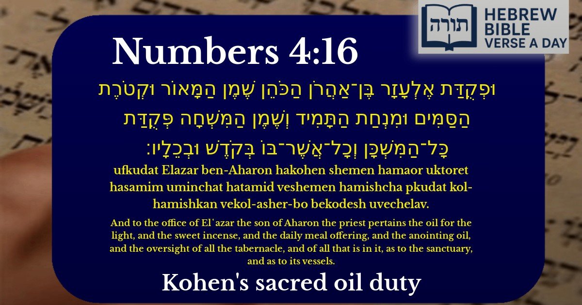 Numbers 4:16 - במדבר 4:16