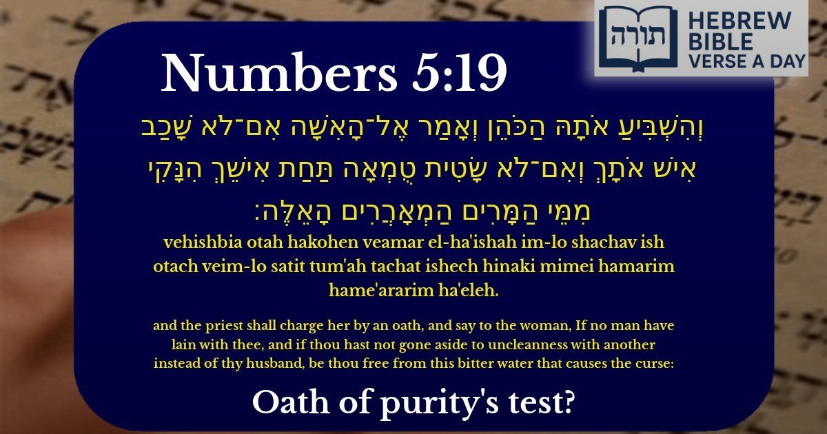Numbers 5:19 - במדבר 5:19