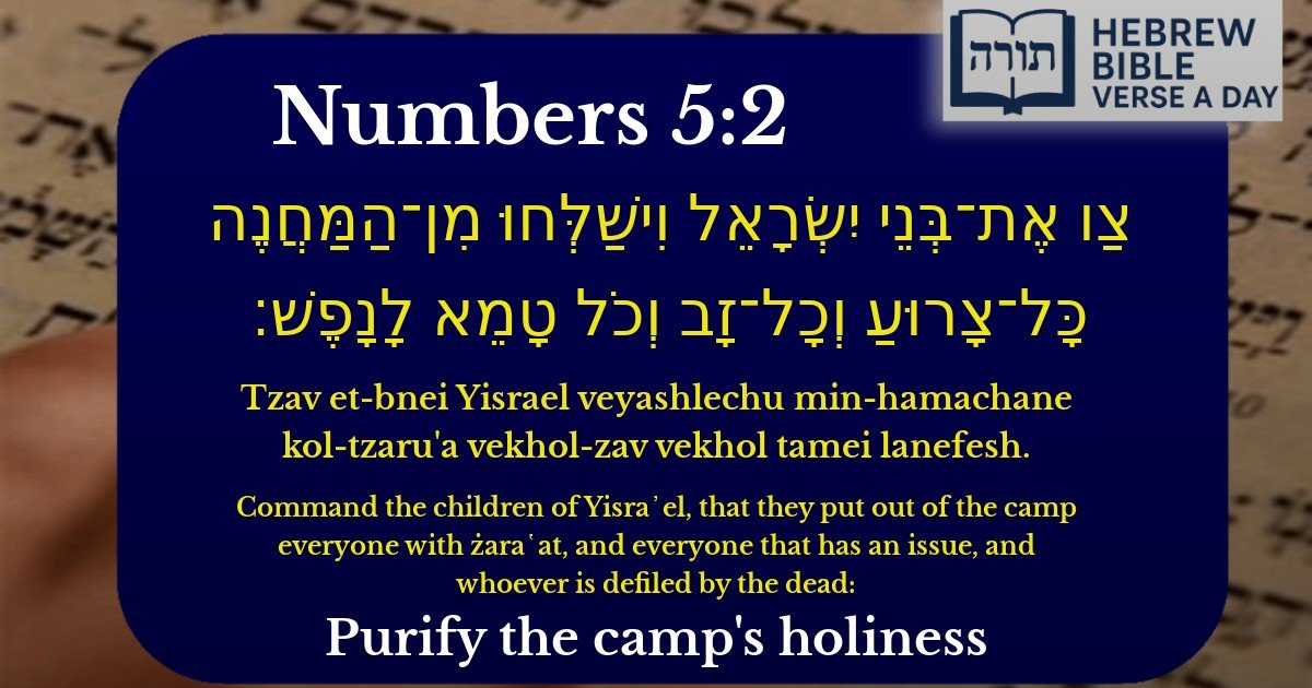 Numbers 5:2 - במדבר 5:2