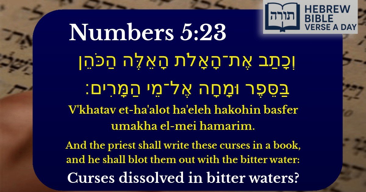 Numbers 5:23 - במדבר 5:23