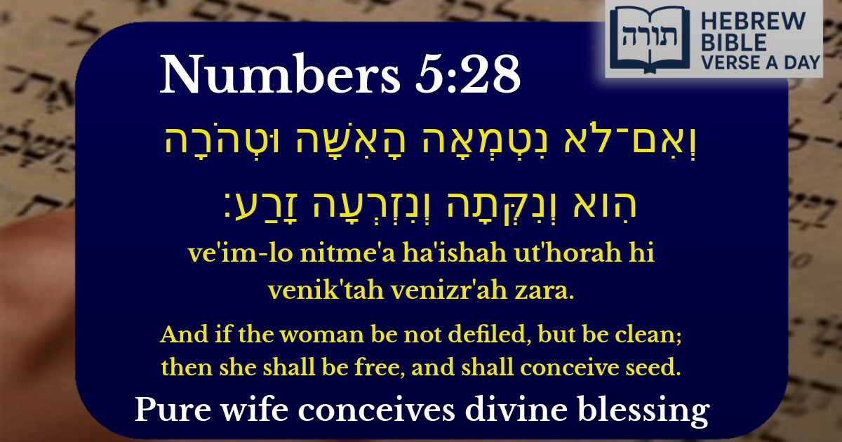 Numbers 5:28 - במדבר 5:28