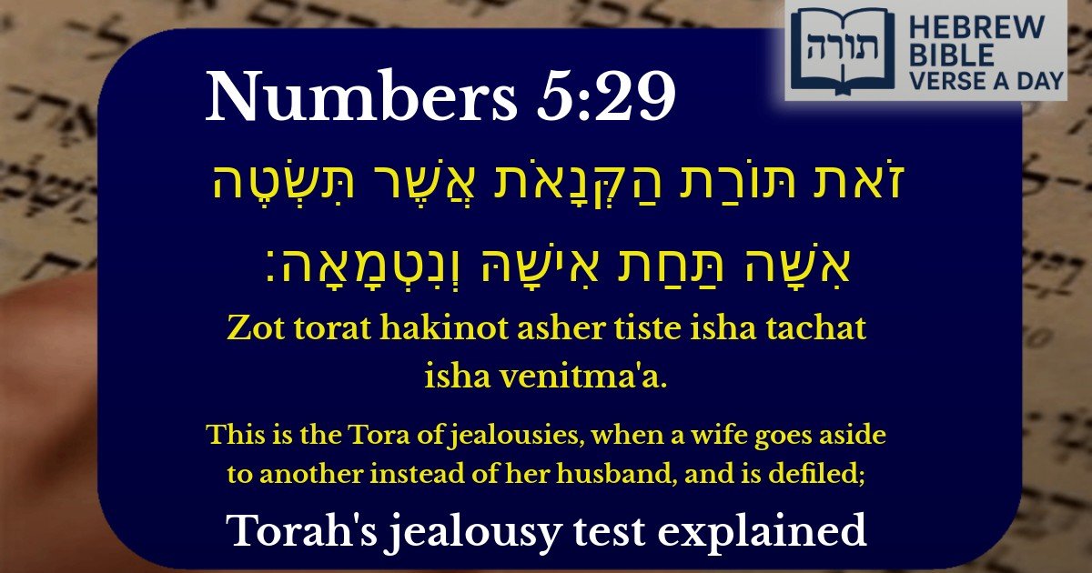 Numbers 5:29 - במדבר 5:29