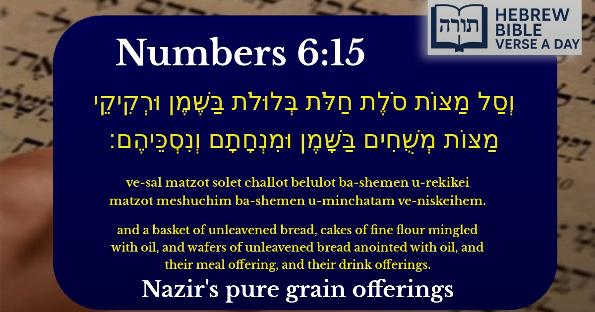 Numbers 6:15 - במדבר 6:15